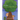 Grandpa...Why Are You Planting That Tree?