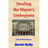 Stealing the Mayor's Underpants: A Gay Political Romance