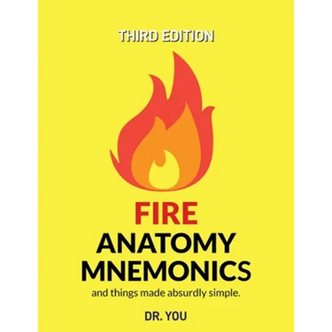 Fire Anatomy Mnemonics (and things made absurdly simple)