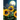 Under a Sunflower Moon: Cherokee Stories and Poems