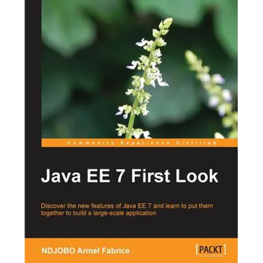 Java Ee 7 First Look