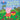 Peppa Goes Apple Picking ( Peppa Pig )