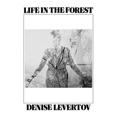 Life in the Forest