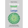 Thinking Small and Large: How Microbes Made and Can Save Our World