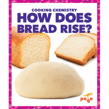 How Does Bread Rise?