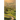 Twisted Path