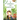 The Adventures of Little Detective Lucy