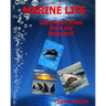 Marine Life: Learn about Whale, Shark and Penguins