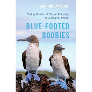 Blue-Footed Boobies: Sibling Conflict and Sexual Infidelity on a Tropical Island