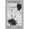 Polychotomy