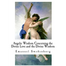 Angelic Wisdom Concerning the Divine Love and the Divine Wisdom