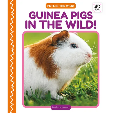 Guinea Pigs in the Wild!
