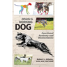 Athletic and Working Dog: Functional Anatomy and Biomechanics
