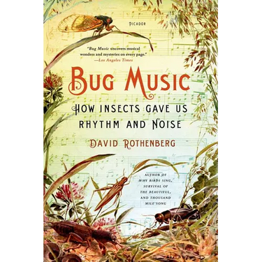 Bug Music