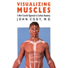 Visualizing Muscles: A New Ecorche Approach to Surface Anatomy
