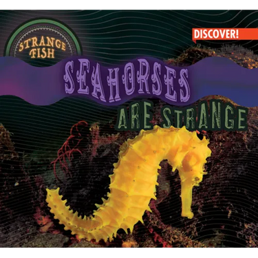 Seahorses Are Strange
