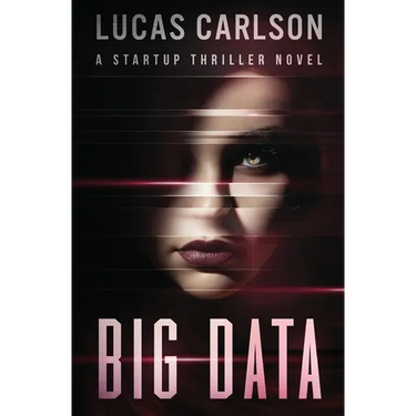Big Data: A Startup Thriller Novel