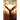The Beginning