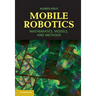 Mobile Robotics
