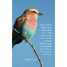 General Worship Bulletin: Your Heavenly Father Knoweth (Package of 100): Matthew 6:31-32 (Kjv)