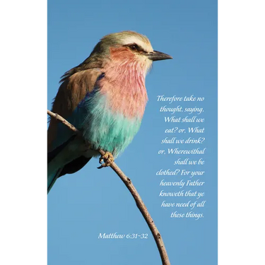 General Worship Bulletin: Your Heavenly Father Knoweth (Package of 100): Matthew 6:31-32 (Kjv)