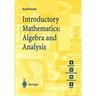 Introductory Mathematics: Algebra and Analysis