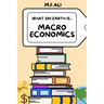 What on Earth is Macroeconomics?: An Introduction to Macroeconomics for Beginners