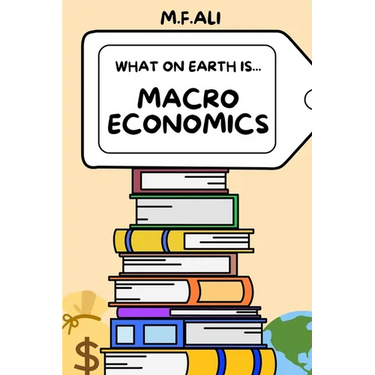 What on Earth is Macroeconomics?: An Introduction to Macroeconomics for Beginners