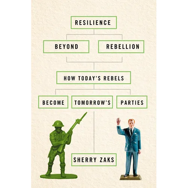 Resilience Beyond Rebellion: How Today's Rebels Become Tomorrow's Parties