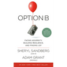 Option B: Facing Adversity, Building Resilience, and Finding Joy