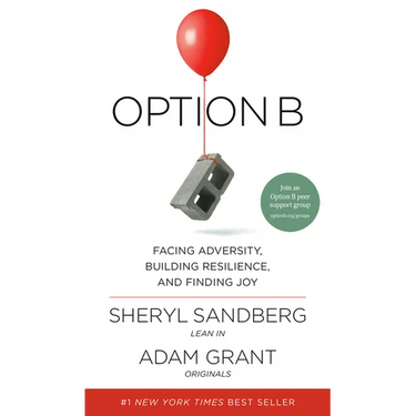 Option B: Facing Adversity, Building Resilience, and Finding Joy