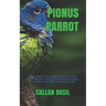Pionus Parrot: Every detailed information you need to know about the pionus parrot. Their behaviors, feeding and reasons while they make amazing pet