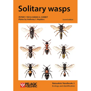 Solitary wasps
