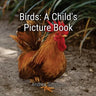 Birds: A Child's Picture Book