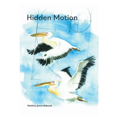 Hidden Motion