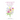 A Bouquet of Words: Express Yourself through the Language of Flowers