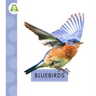 Bluebirds