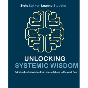 Unlocking systemic wisdom: bringing key knowledge from constellations to the work floor