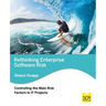 Rethinking Enterprise Software Risk: Controlling the Main Risk Factors on It Projects
