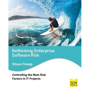 Rethinking Enterprise Software Risk: Controlling the Main Risk Factors on It Projects