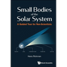 Small Bodies of the Solar System