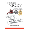 Which god is God?: A Lawyer's Look at God and Religion