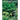 Fern Grower's Manual