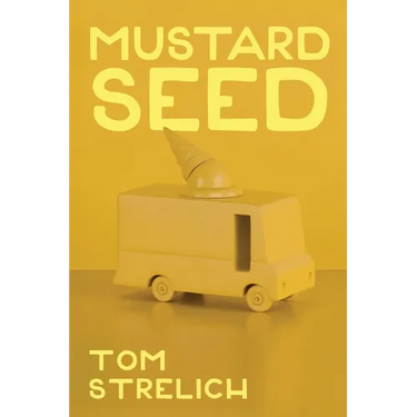 Mustard Seed: A Thystopian Satire, Book 3