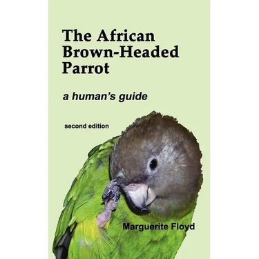 The African Brown-Headed Parrot