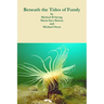 Beneath the Tides of Fundy