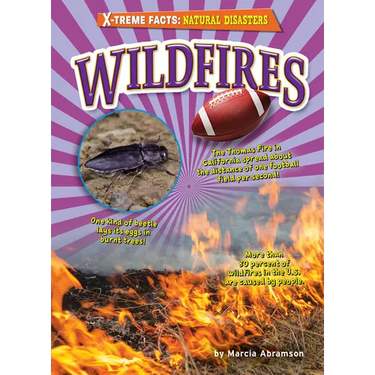 Wildfires