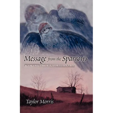 Message from the Sparrows