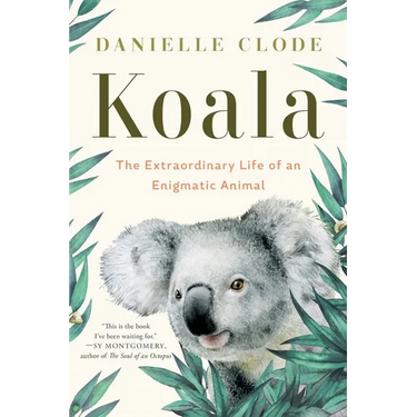 Koala: The Extraordinary Life of an Enigmatic Animal
