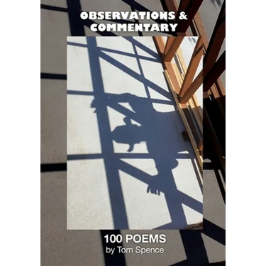 Observations and Commentary: One Hundred Poems